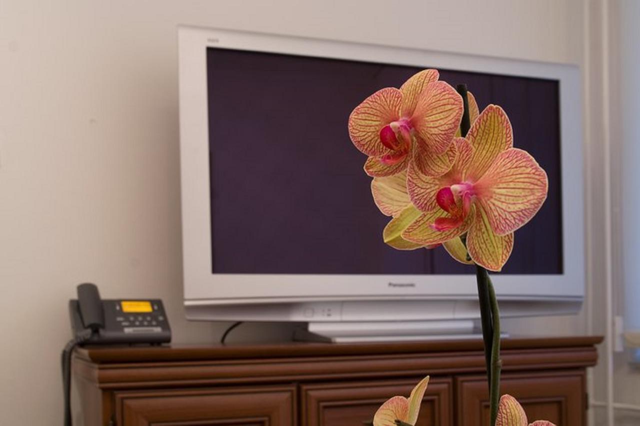 Hotel Satelit ピエシュチャニ エクステリア 写真
